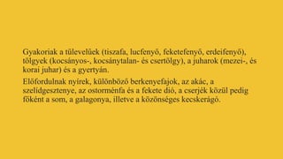 Gyakoriak a tűlevelűek (tiszafa, lucfenyő, feketefenyő, erdeifenyő),
tölgyek (kocsányos-, kocsánytalan- és csertölgy), a juharok (mezei-, és
korai juhar) és a gyertyán.
Előfordulnak nyírek, különböző berkenyefajok, az akác, a
szelídgesztenye, az ostorménfa és a fekete dió, a cserjék közül pedig
főként a som, a galagonya, illetve a közönséges kecskerágó.
 