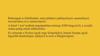 Ritkaságok is fellelhetőek, mint például a páfrányfenyő, mamutfenyő,
mocsárciprus és a narancseperfa.
A közel 1 km² területű angolparkban mintegy 8500 faegyed él, a cserjék
száma pedig ennek többszöröse.
Ez nemcsak a főváros egyik nagy közparkjává, hanem Európa egyik
legszebb dendrológiai parkjává is teszi a Margitszigetet.
 