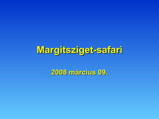 Margitsziget-safari 2008 március 09. 
