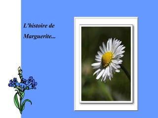 L'histoire de  Marguerite... 