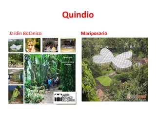 Quindio
Jardín Botánico       Mariposario
 