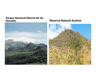 Parque Nacional Natural de los
Nevados                          Reserva Natural Acaime
 