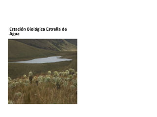Estación Biológica Estrella de
Agua
 