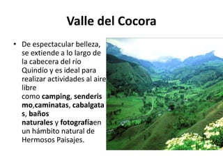 Valle del Cocora
• De espectacular belleza,
  se extiende a lo largo de
  la cabecera del río
  Quindío y es ideal para
  realizar actividades al aire
  libre
  como camping, senderis
  mo,caminatas, cabalgata
  s, baños
  naturales y fotografíaen
  un hámbito natural de
  Hermosos Paisajes.
 