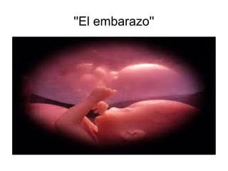 ''El embarazo''
 