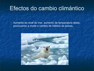 Efectos do cambio climántico

•   Aumento do nivel do mar, aumento da temperatura deste,
    provocando a morte e cambio de hábitos de peixes.
 