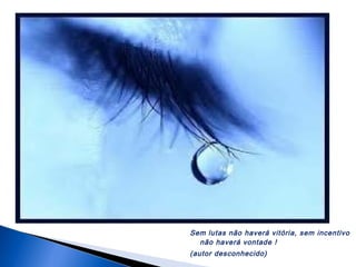 Sem lutas não haverá vitória, sem incentivo
não haverá vontade !
(autor desconhecido)

 