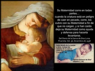 Su Maternidad corre en todas
partes…
cuando la criatura está en peligro
de caer en pecado, corre, los
cubre con su Maternidad a fin de
que no caigan, y si han caído
deja su Maternidad como ayuda
y defensa para hacerla
levantarse.
Del Diario de la Sierva de Dios Luisa
Picarreta.Vol. 36, Diciembre 28, 1938
 