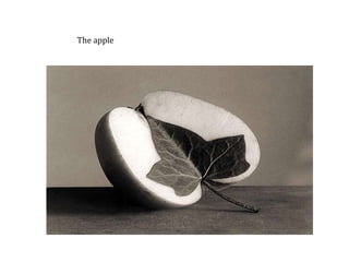 Theapple
The apple
 