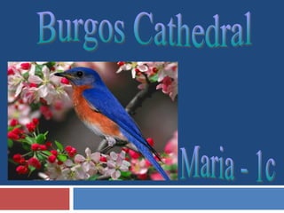 Burgos Cathedral Maria - 1c 