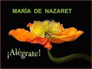 ¡Alégrate! MARÍA  DE  NAZARET 