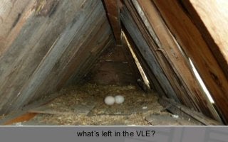what’s left in the VLE?
 