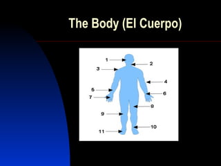 The Body (El Cuerpo) 