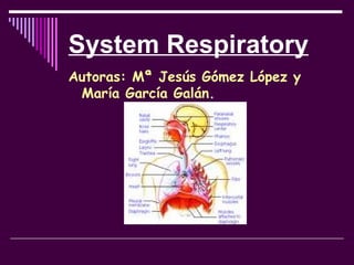 System Respiratory ,[object Object]