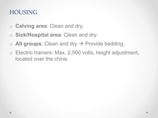 HOUSING
o Calving area: Clean and dry.
o Sick/Hospital area: Clean and dry.
o All groups: Clean and dry  Provide bedding.
o Electric trainers: Max. 2,500 volts, height adjustment,
located over the chine.
 
