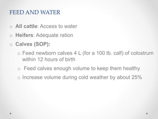 FEED AND WATER
o All cattle: Access to water
o Heifers: Adequate ration
o Calves (SOP):
o Feed newborn calves 4 L (for a 100 lb. calf) of colostrum
within 12 hours of birth
o Feed calves enough volume to keep them healthy
o Increase volume during cold weather by about 25%
 