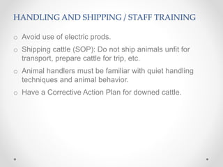 HANDLING AND SHIPPING / STAFF TRAINING
o Avoid use of electric prods.
o Shipping cattle (SOP): Do not ship animals unfit for
transport, prepare cattle for trip, etc.
o Animal handlers must be familiar with quiet handling
techniques and animal behavior.
o Have a Corrective Action Plan for downed cattle.
 