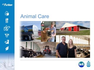 Animal Care
 