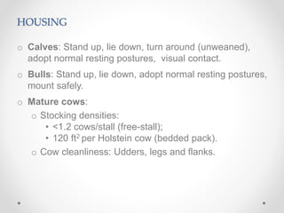 HOUSING
o Calves: Stand up, lie down, turn around (unweaned),
adopt normal resting postures, visual contact.
o Bulls: Stand up, lie down, adopt normal resting postures,
mount safely.
o Mature cows:
o Stocking densities:
• <1.2 cows/stall (free-stall);
• 120 ft2 per Holstein cow (bedded pack).
o Cow cleanliness: Udders, legs and flanks.
 