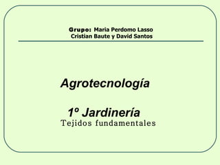 Grupo:  Maria Perdomo Lasso  Cristian Baute y David Santos Tejidos fundamentales Agrotecnología  1º Jardinería 