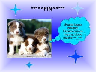 ***^^FIN^^*** ¡Hasta luego amigos! Espero que os haya gustado mucho =^_^=. 