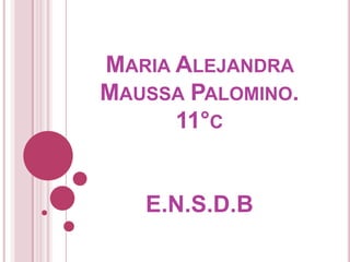 MARIA ALEJANDRA
MAUSSA PALOMINO.
      11°C


   E.N.S.D.B
 