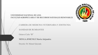 UNIVERSIDAD NACIONAL DE LOJA
FACULTAD AGROPECUARIA Y DE RECURSOS NATURALES RENOVABLES
CARRERA DE MEDICINA VETERINARIA Y ZOOTECNIA
SANIDAD DE RUMIANTES
Octavo Ciclo “B”
MINGA JIMENEZ María Alejandra
Docente: Dr. Manuel Quezada
 