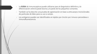 - La ELISA de inmunocaptura puede utilizarse para el diagnóstico definitivo y la
diferenciación entre la peste bovina y la peste de los pequeños rumiantes.
- También se ha descrito una prueba de aglutinación en base a anticuerpos monoclonales
de partículas de látex para su uso a campo.
- Los antígenos pueden ser identificados en tejidos por tinción por inmuno-peroxidasa o
inmunofluorescencia.
 