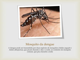 Mosquito da dengue
A dengue pode ser transmitida por duas espécies de mosquitos (Aëdes aegypti e
Aëdes albopictus), que picam durante o dia e a noite, ao contrário do mosquito
comum, que pica durante a noite
 