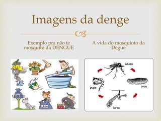 
Imagens da denge
Exemplo pra não te
mosquito da DENGUE
A vida do mosquioto da
Degue
 