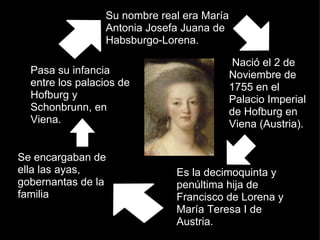   Su nombre real era María Antonia Josefa Juana de Habsburgo-Lorena.   Nació el 2 de Noviembre de 1755 en el Palacio Imperial de Hofburg en Viena (Austria). Es la decimoquinta y penúltima hija de Francisco de Lorena y María Teresa I de Austria. Se encargaban de ella las ayas, gobernantas de la familia  real Pasa su infancia entre los palacios de Hofburg y Schonbrunn, en Viena. 