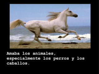 Amaba los animales, especialmente los perros y los caballos.  