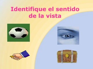 Identifique el sentido
     de la vista
 