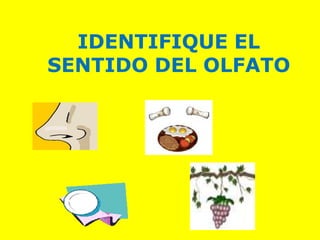 IDENTIFIQUE EL
SENTIDO DEL OLFATO
 