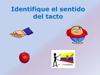 Identifique el sentido
      del tacto
 