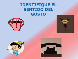 IDENTIFIQUE EL
 SENTIDO DEL
    GUSTO
 