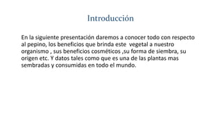 Introducción 
En la siguiente presentación daremos a conocer todo con respecto 
al pepino, los beneficios que brinda este vegetal a nuestro 
organismo , sus beneficios cosméticos ,su forma de siembra, su 
origen etc. Y datos tales como que es una de las plantas mas 
sembradas y consumidas en todo el mundo. 
 