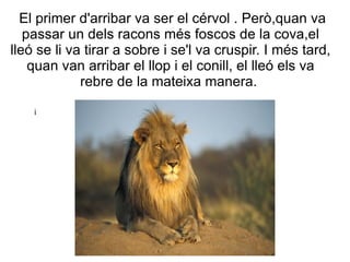 El primer d'arribar va ser el cérvol . Però,quan va
   passar un dels racons més foscos de la cova,el
lleó se li va tirar a sobre i se'l va cruspir. I més tard,
    quan van arribar el llop i el conill, el lleó els va
             rebre de la mateixa manera.

    i
 
