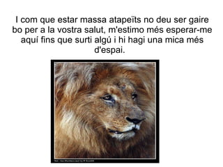 I com que estar massa atapeïts no deu ser gaire
bo per a la vostra salut, m'estimo més esperar-me
   aquí fins que surti algú i hi hagi una mica més
                       d'espai.
 