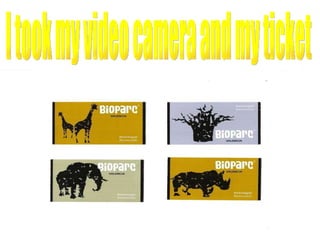 I took my video camera and my ticket 
