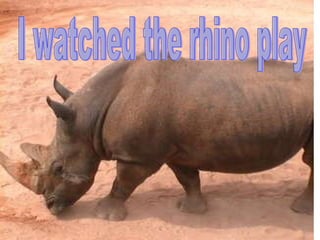 I watched the rhino play 