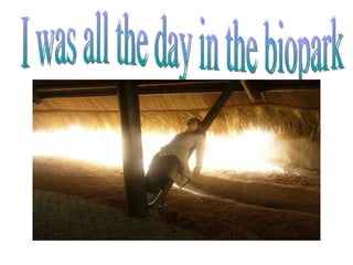 I was all the day in the biopark 