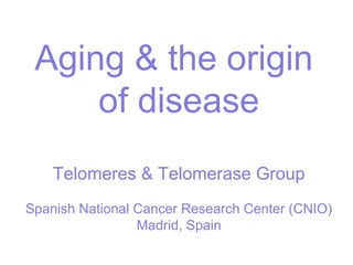 Aging & the origin 
of disease 
Telomeres & Telomerase Group 
Spanish National Cancer Research Center (CNIO) 
Madrid, Spain 
 