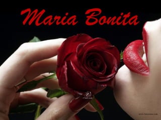 Maria Bonita

 