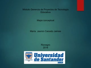 Módulo Gerencia de Proyectos de Tecnología
Educativa
Mapa conceptual
María Jasmin Caicedo Jaimes
Rionegro
2018
 