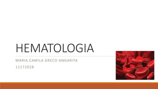 HEMATOLOGIA 
MARIA CAMILA GRECO ANGARITA 
11172028 
 