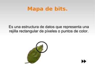 Mapa de bits. Es una estructura de datos que representa una rejilla rectangular de píxeles o puntos de color. 