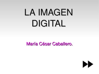 LA IMAGEN DIGITAL María César Caballero. 