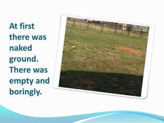 At first
there was
naked
ground.
There was
empty and
boringly.

 