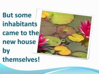 But some
inhabitants
came to the
new house
by
themselves!

 